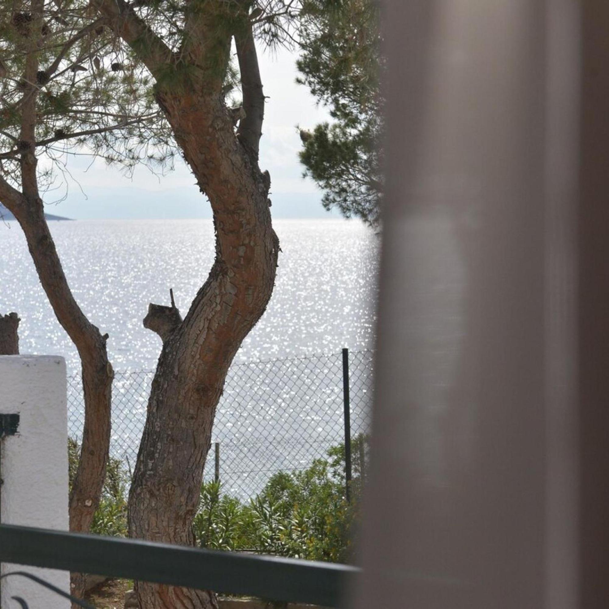 Salamis Beachfront House Экстерьер фото