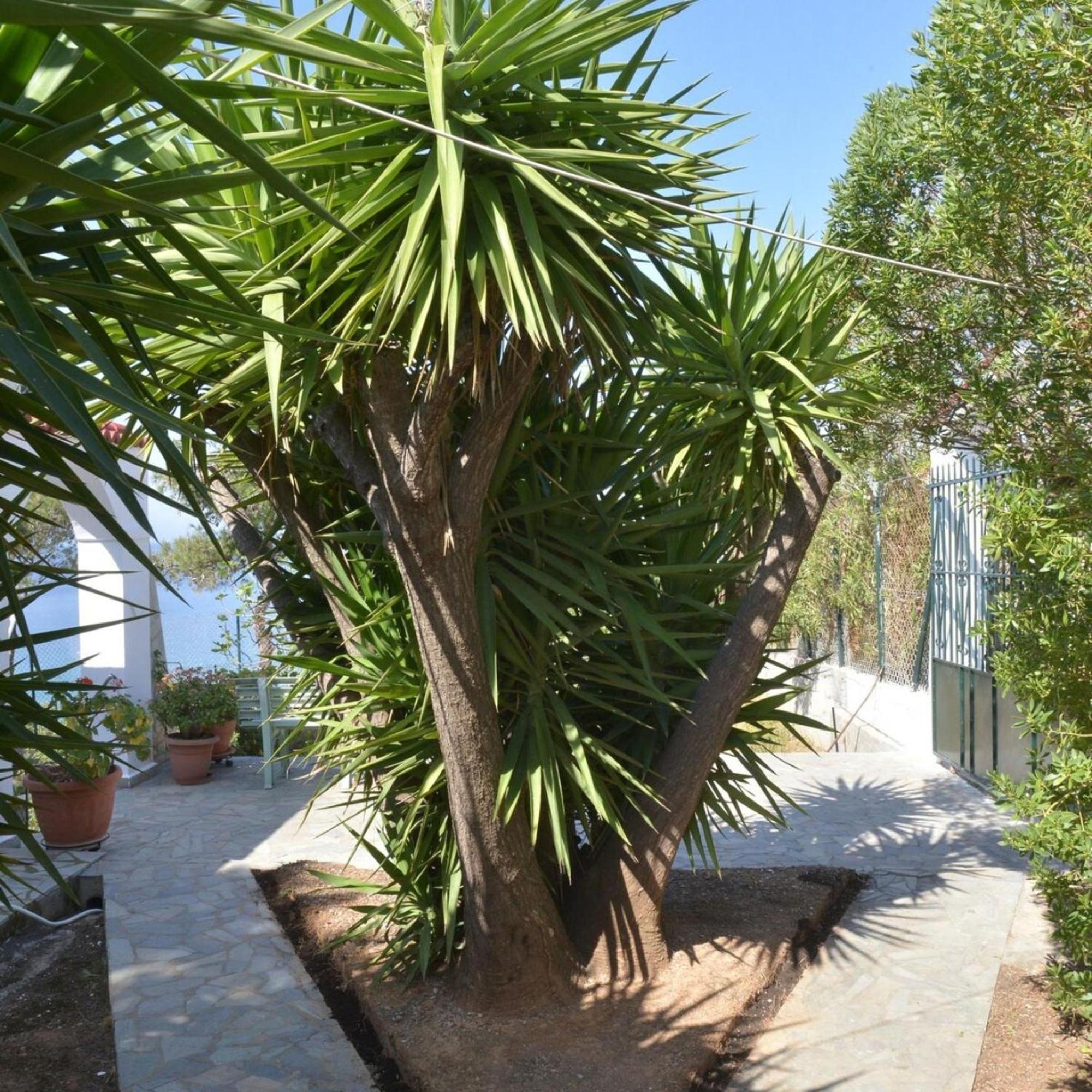 Salamis Beachfront House Экстерьер фото